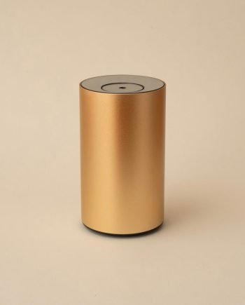 Aiwin Gold Waterless Diffuser